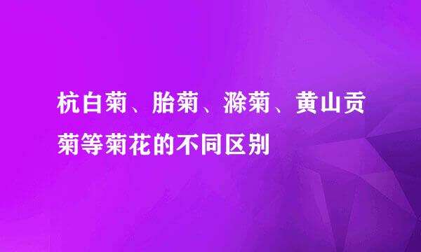 杭白菊、胎菊、滁菊、黄山贡菊等菊花的不同区别