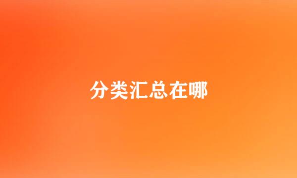 分类汇总在哪