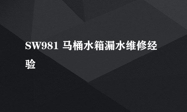 SW981 马桶水箱漏水维修经验