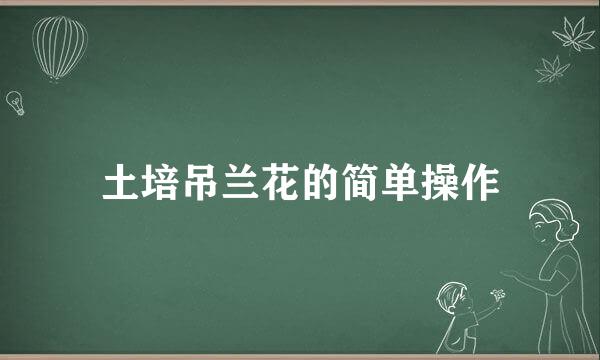 土培吊兰花的简单操作
