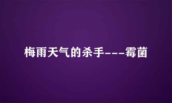 梅雨天气的杀手---霉菌