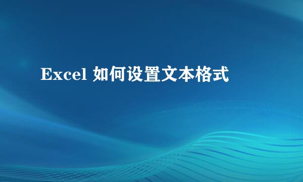 Excel 如何设置文本格式