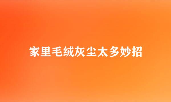 家里毛绒灰尘太多妙招