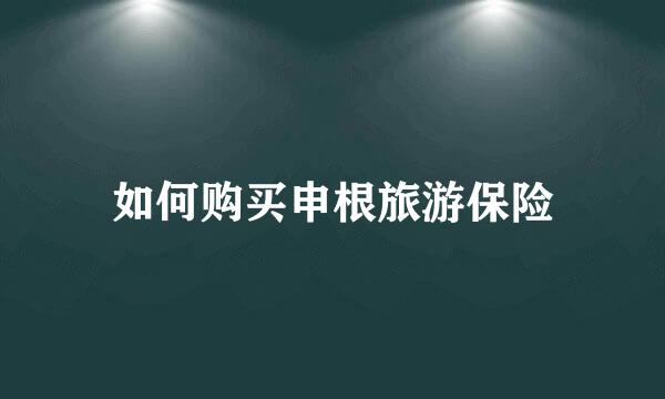 如何购买申根旅游保险