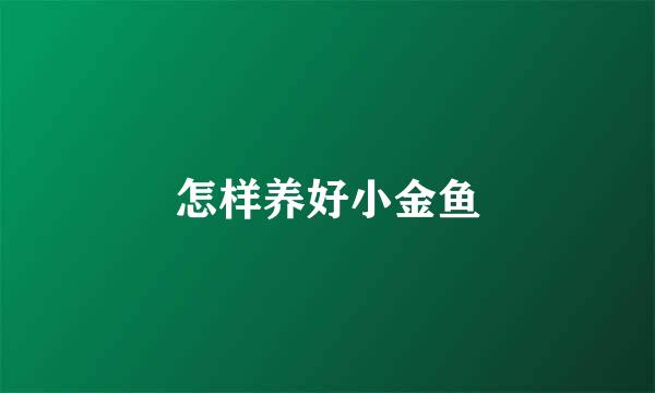 怎样养好小金鱼