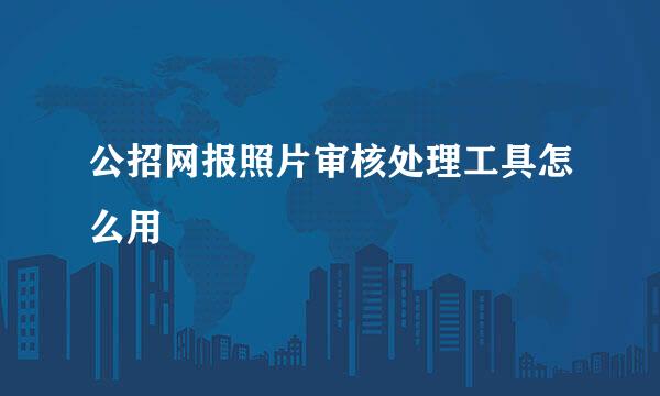 公招网报照片审核处理工具怎么用