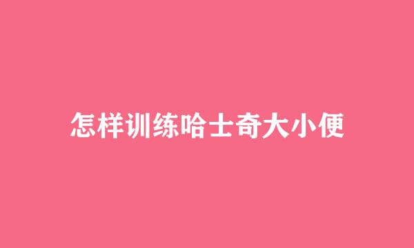 怎样训练哈士奇大小便