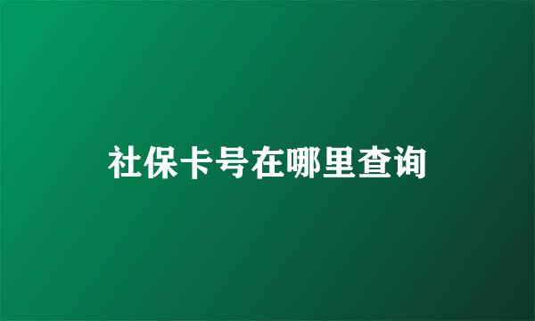 社保卡号在哪里查询