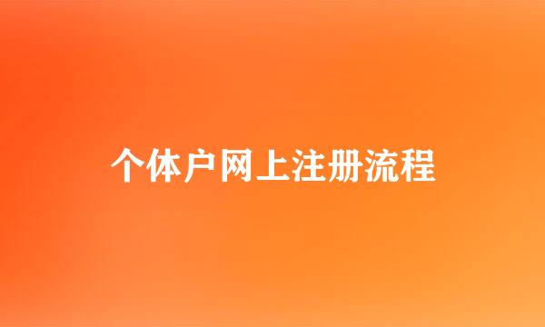 个体户网上注册流程