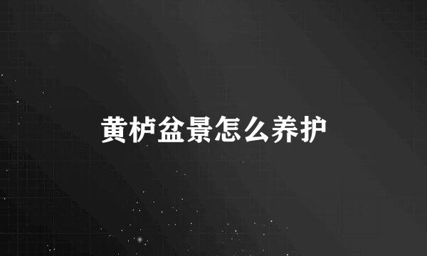 黄栌盆景怎么养护