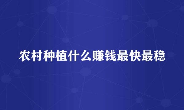 农村种植什么赚钱最快最稳