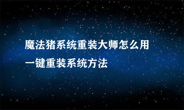 魔法猪系统重装大师怎么用 一键重装系统方法