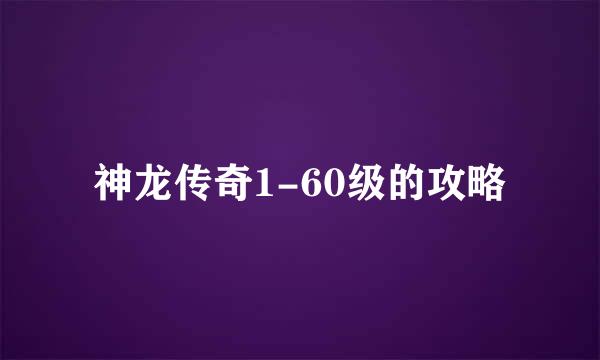 神龙传奇1-60级的攻略