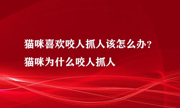 猫咪喜欢咬人抓人该怎么办？猫咪为什么咬人抓人