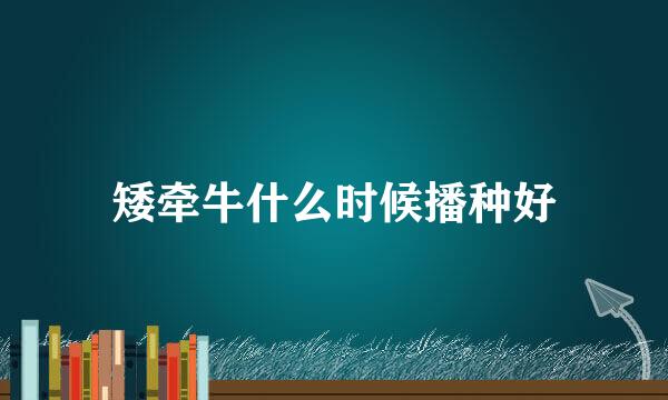 矮牵牛什么时候播种好