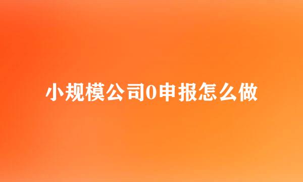 小规模公司0申报怎么做