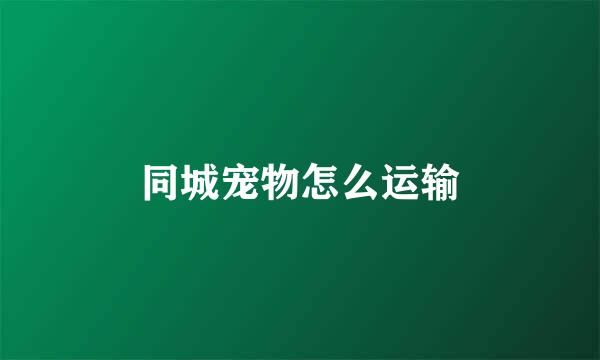 同城宠物怎么运输