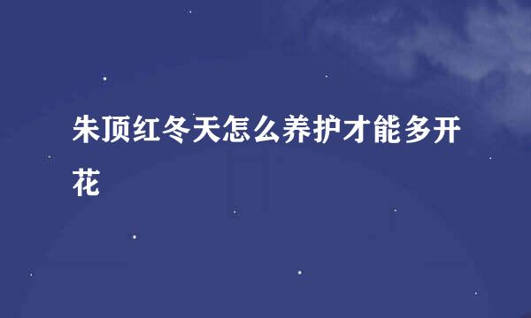朱顶红冬天怎么养护才能多开花