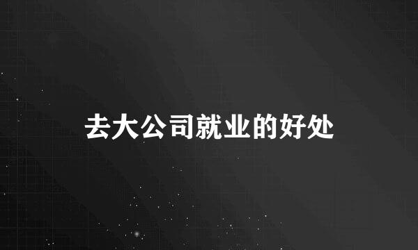 去大公司就业的好处