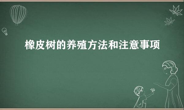 橡皮树的养殖方法和注意事项