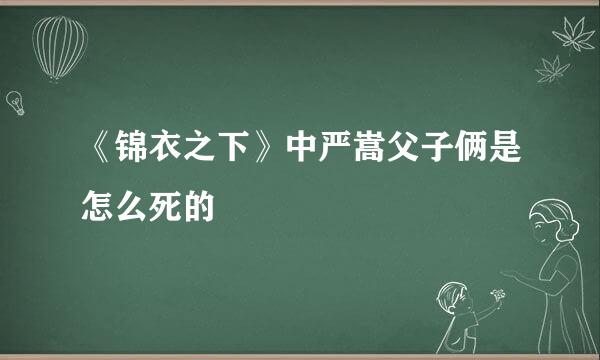 《锦衣之下》中严嵩父子俩是怎么死的