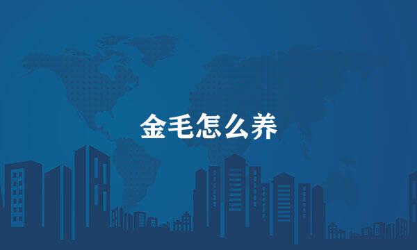 金毛怎么养