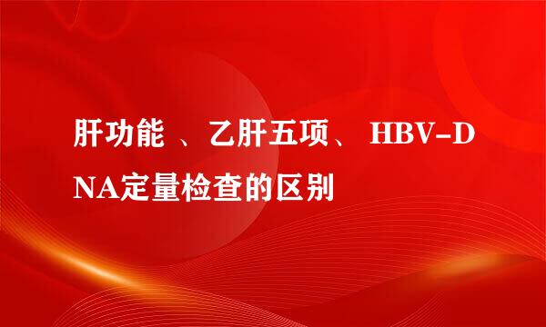 肝功能 、乙肝五项、 HBV-DNA定量检查的区别