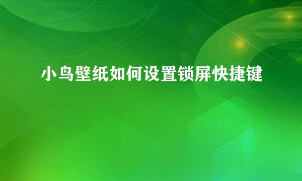小鸟壁纸如何设置锁屏快捷键