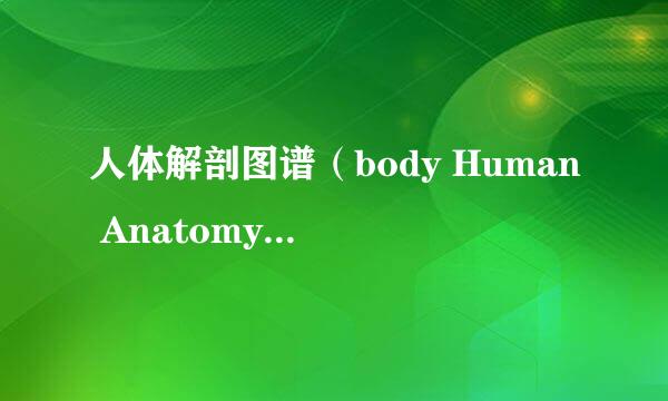 人体解剖图谱（body Human Anatomy Atlas）安装