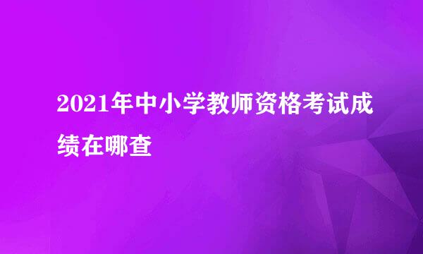 2021年中小学教师资格考试成绩在哪查
