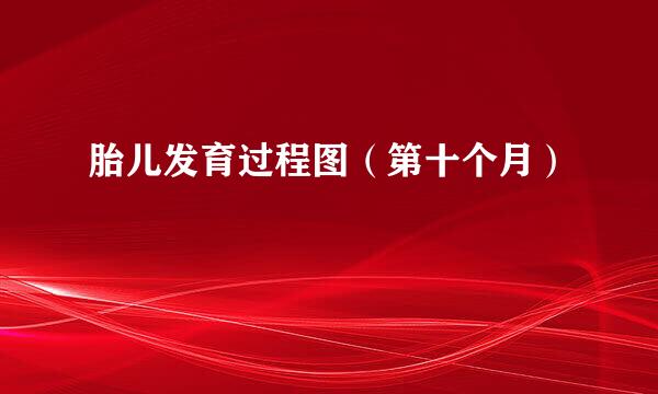 胎儿发育过程图（第十个月）
