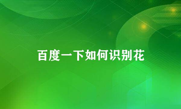百度一下如何识别花