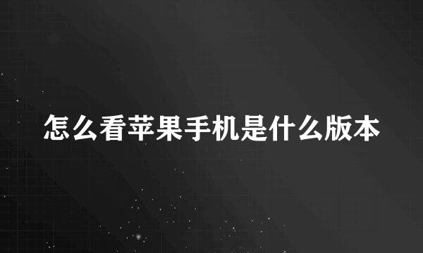 怎么看苹果手机是什么版本