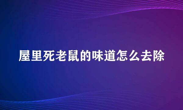 屋里死老鼠的味道怎么去除