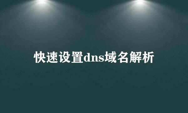快速设置dns域名解析