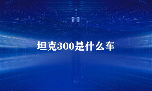 坦克300是什么车