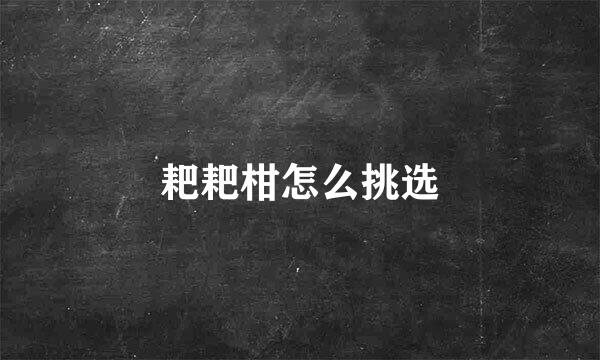 耙耙柑怎么挑选