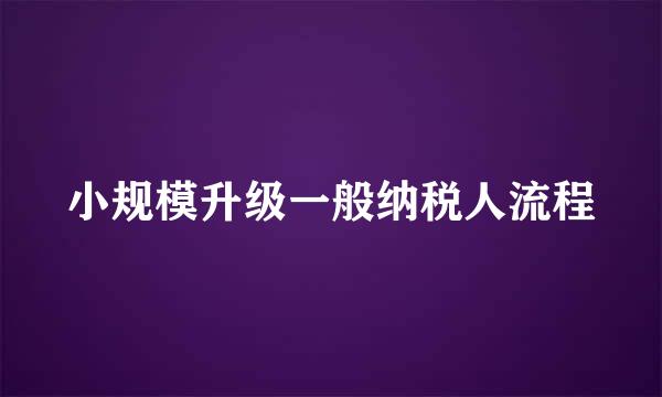 小规模升级一般纳税人流程