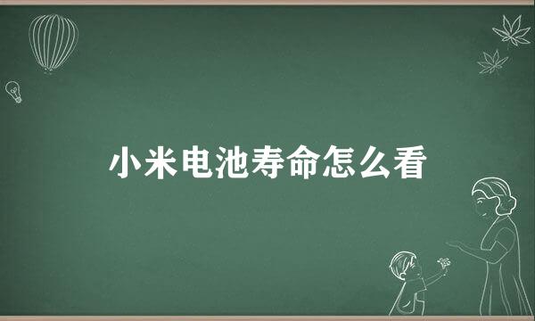 小米电池寿命怎么看