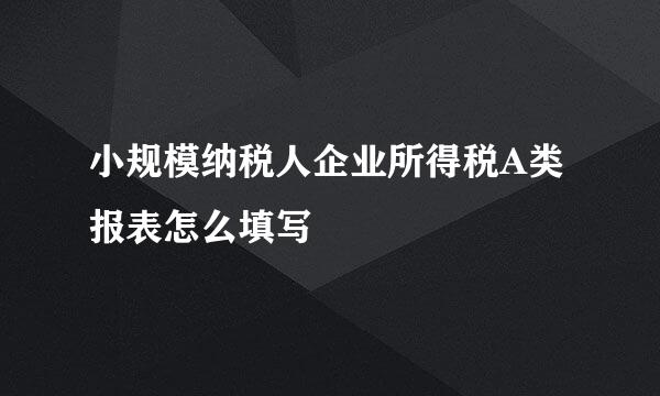 小规模纳税人企业所得税A类报表怎么填写