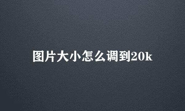 图片大小怎么调到20k