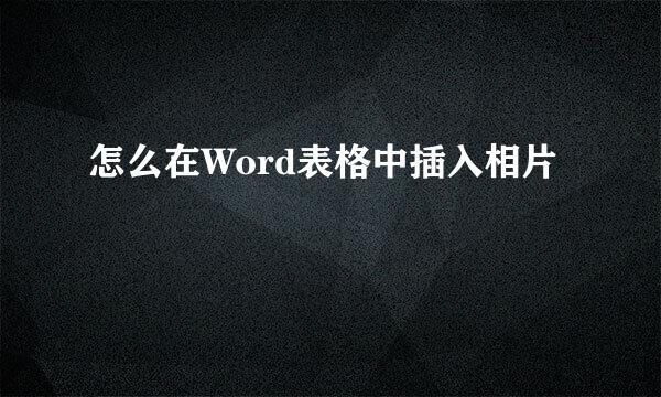怎么在Word表格中插入相片