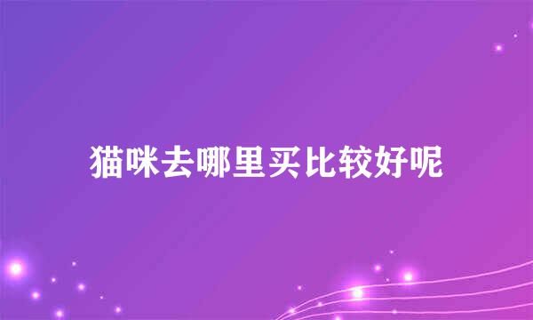 猫咪去哪里买比较好呢