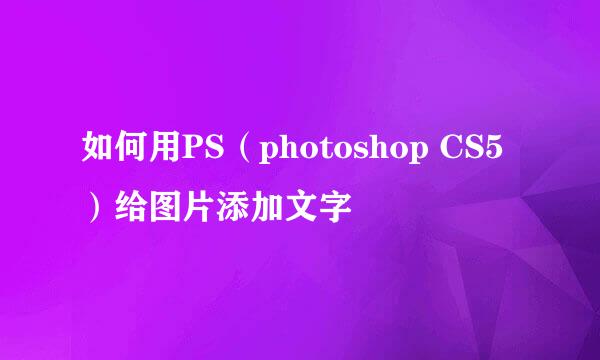 如何用PS（photoshop CS5）给图片添加文字