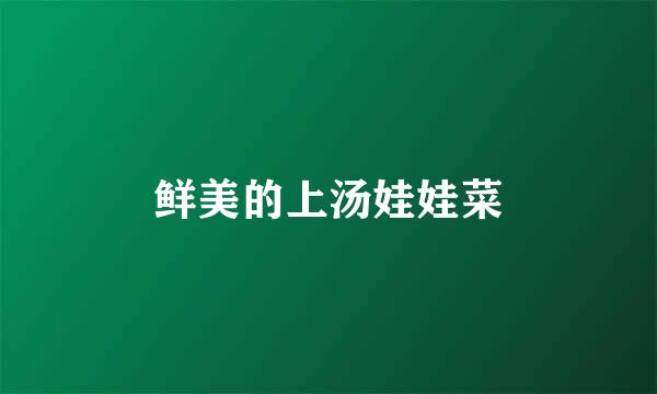 鲜美的上汤娃娃菜