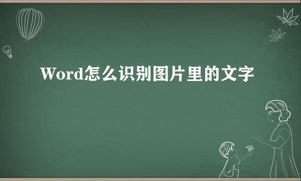 Word怎么识别图片里的文字