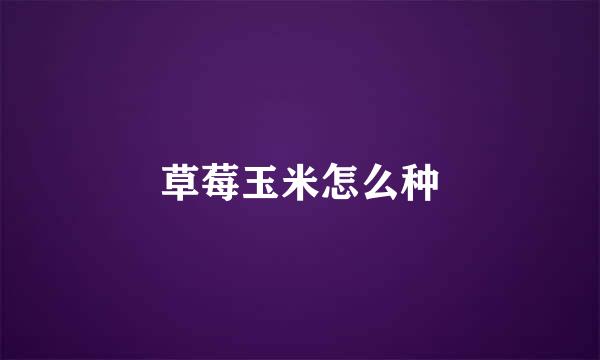 草莓玉米怎么种