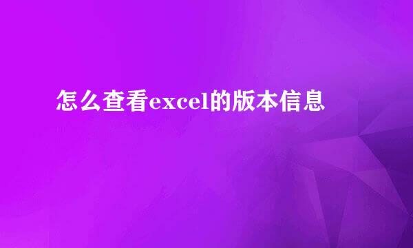 怎么查看excel的版本信息