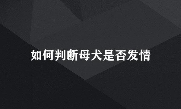 如何判断母犬是否发情