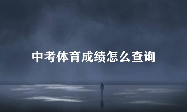 中考体育成绩怎么查询